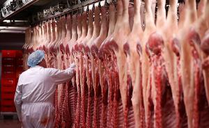 欧洲食品问题持续发酵：毒鸡蛋后又现毒猪肉，病菌或引发肝炎
