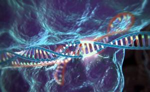 “基因魔剪”首批临床试验将于明年在欧美同时展开
