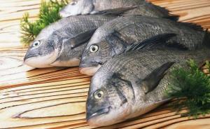 吃鱼真的更聪明！对中国儿童的研究显示：每周吃鱼的智商更高