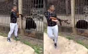男子疑持AK47将黑熊活活打死，警方：初步确定事发缅甸