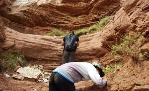 中美学者在西藏首次发现鸟类足迹化石，该发现缘于大学生实践