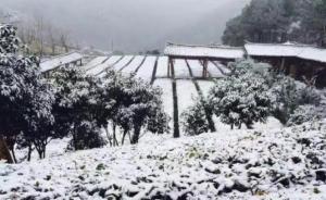 武汉铁路局公告：受降雪影响，部分旅客列车临时停运