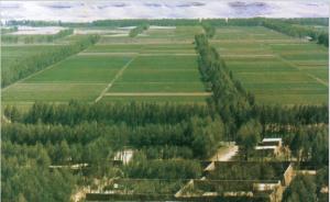 国家林业局：近五年来三北工程年均造林育林千万亩