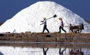 两部门解读食盐专营办法：盐业体制改革方案重视供应安全问题