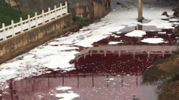 长沙唯一城市内河成“红河”：排猪血致
