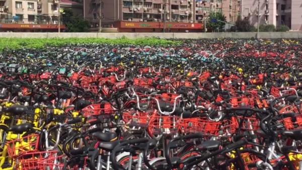 3万辆违停共享单车停于上海一处空地