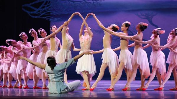 舞剧《朱鹮》振翅纽约，演绎中国之美