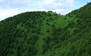 国家林业局：2017年退耕还林1100多万亩