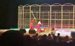 辽宁营口：马戏团老虎发怒扑倒驯兽师，剧场公告称老虎太累了