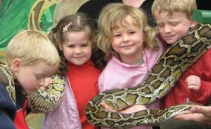 英国夫妇热衷动物疗法买下动物园，携孩子与狮蛇豹“同居”