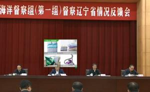 国家海洋督察组：辽宁海洋生态保护和围填海管控存在五大问题