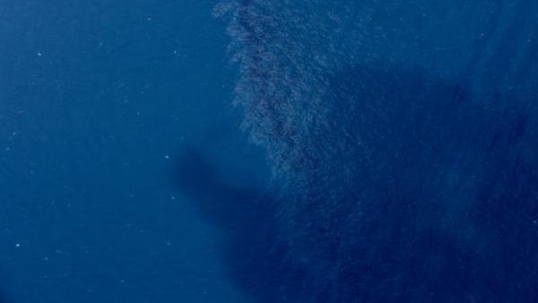 “桑吉”轮沉没海域溢油58平方公里