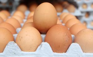 “毒鸡蛋”波及台湾：15个鸡场氟虫腈超标，殃及50万只鸡