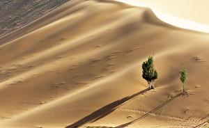 国家沙漠公园管理办法：生态保育区面积应不小于总面积60%