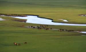 内蒙古：全区草原确权承包工作基本完成