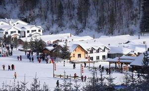 黑龙江森工总局：深刻汲取亚布力雪乡教训，查找营商环境问题