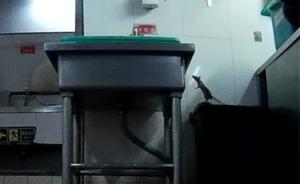 媒体暗访北京海底捞两家店：老鼠爬进食品柜，火锅勺掏下水道
