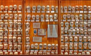 神奇的费城穆特博物馆：爱因斯坦大脑、总统口腔及泰国连体人