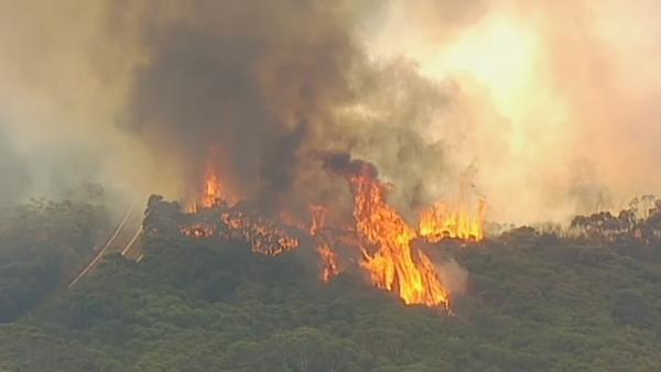 悉尼国家公园突发山火，或因人为纵火