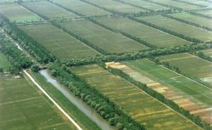 河南：2020年全省耕地保有量不少于1.2035亿亩