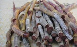 云南首次发布紫皮石斛食品安全地方标准，含每日推荐食用量等