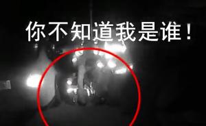 朋友酒驾被查，夫妻袭警喊“想不想混”