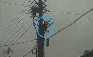 疑被跟踪男子爬高压电塔，万户市民断电