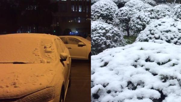 上海初雪：下了一夜，雪终于盖住了轿车
