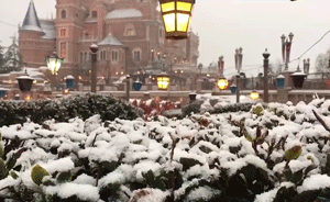 迪士尼烟花雪中绽放，游客一天等值了