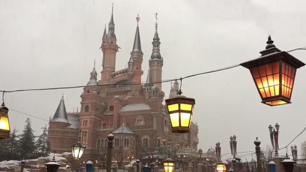 迪士尼烟花雪中绽放，游客一天等值了