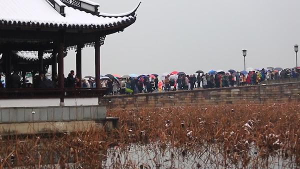 杭州西湖雪后银装：到处是人人人人人人