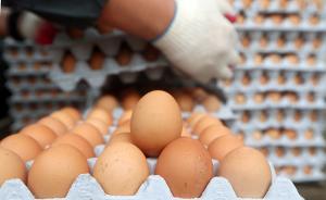 台湾44个蛋鸡场氟虫腈残留超标，逾100万颗鸡蛋封存
