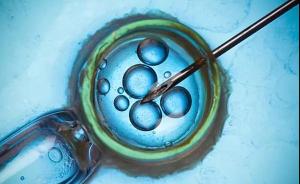 用皮肤细胞制造出精子卵子来生娃？英国科学家正在认真讨论