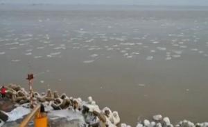 山东莱州湾海冰面积超2000平方公里，油田渔船停止作业
