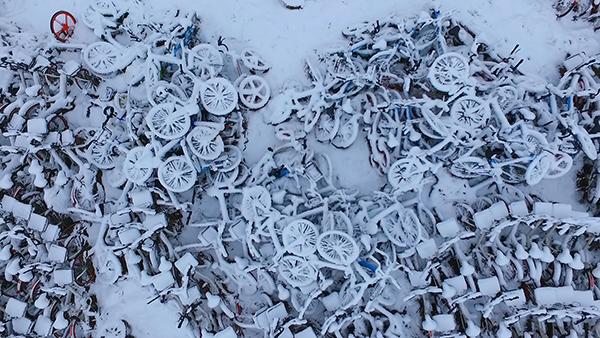 共享单车被弃荒野，大雪后都成小白车