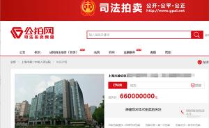 6.6亿元！上海法院网络自主拍卖最高成交价刷新纪录