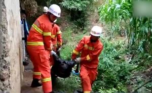 男子粪坑找猪身亡,妻子施救晕倒送医