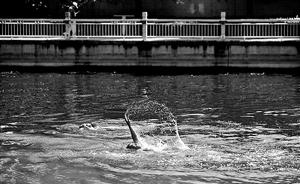 溺亡事件频发，北京集中清劝“野泳”人员：严重者可行政拘留