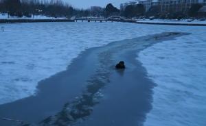 看着都冷！男子困冰湖，多人合力拉上岸