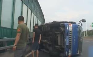 蜜蜂蜇副駕駛致尖叫,司機分神后翻車