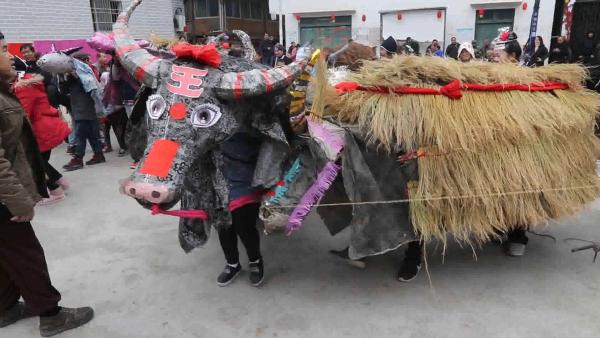 桂林：浩浩荡荡的闹春牛队伍祈福拜节