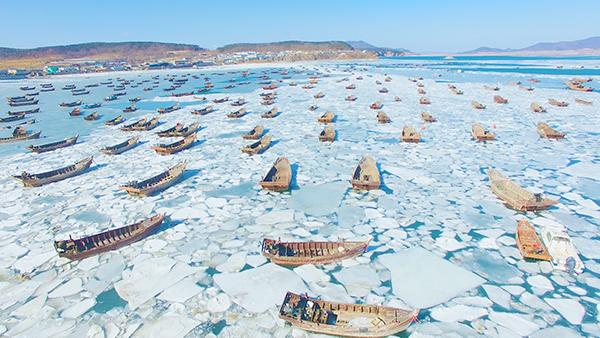 大连千艘渔船被海冰封冻似“钉”在海上