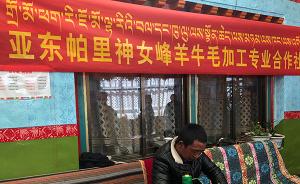 新时代新气象新作为｜西藏：民族特色手工业破题“致富难”