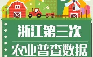 浙江平均近半农户有小汽车，160.3万户有2处及以上住房