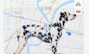 宁波一跑友策划长跑32公里“画狗”迎新年，近200人报名