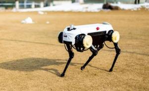 浙大最新发布“机器狗”令人惊艳：技术已能对标国际一流水平