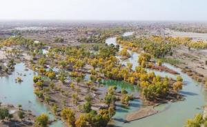 新疆去年生态输水破纪录，一年为南疆“补给”9个天池