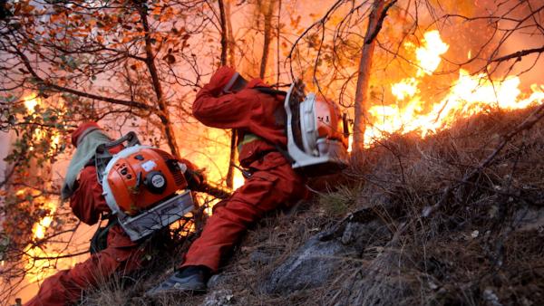 雅江森林过火面积达百公顷，仍在扑救