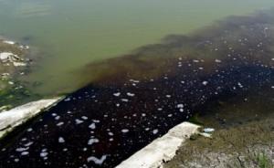 黑龙江环保厅：去年25家企业自动监控数据显示涉嫌废水超排