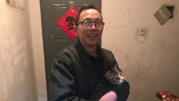 井底“过年”：小猫被困烟道井8天获救